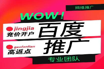 百度推广在电商领域的应用：成功提升销售额的秘诀